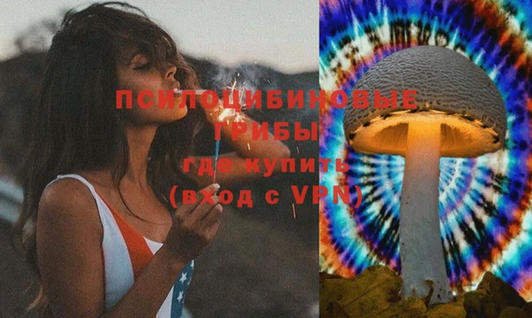 apvp Нягань